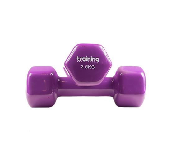 HANTLE FITNESS - VINYL PREMIUM 2,5kg