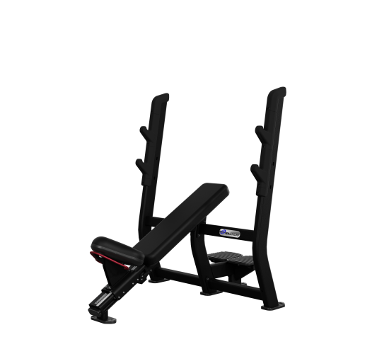 Nautilus Olympic Incline Bench | CORE CORPS POLSKA