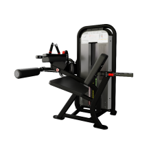 Nautilus Impact® Seated Leg Curl | CORE CORPS POLSKA