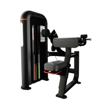 Inspiration® Bilateral Arm Curl | CORE CORPS POLSKA