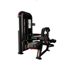 Inspiration® Tricep Dip | CORE CORPS POLSKA